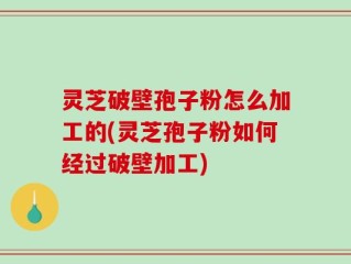 灵芝破壁孢子粉怎么加工的(灵芝孢子粉如何经过破壁加工)