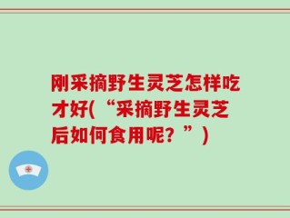 刚采摘野生灵芝怎样吃才好(“采摘野生灵芝后如何食用呢？”)