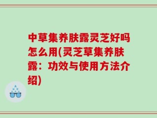 中草集养肤露灵芝好吗怎么用(灵芝草集养肤露：功效与使用方法介绍)
