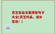 灵芝贡品文案简短句子大全(灵芝珍品，滋补佳选！)