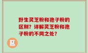 野生灵芝粉和孢子粉的区别？详解灵芝粉和孢子粉的不同之处？