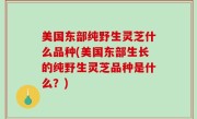 美国东部纯野生灵芝什么品种(美国东部生长的纯野生灵芝品种是什么？)