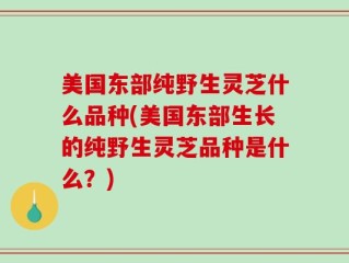 美国东部纯野生灵芝什么品种(美国东部生长的纯野生灵芝品种是什么？)
