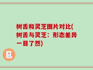 树舌和灵芝图片对比(树舌与灵芝：形态差异一目了然)