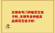 无锡有专门种植灵芝孢子粉_无锡专业种植高品质灵芝孢子粉：
