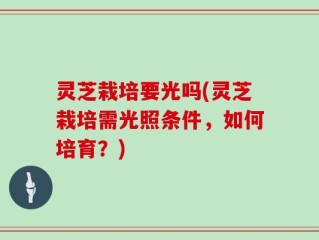 灵芝栽培要光吗(灵芝栽培需光照条件，如何培育？)