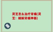 灵芝怎么治疗牙痛(灵芝：缓解牙痛神器)