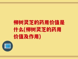 柳树灵芝的药用价值是什么(柳树灵芝的药用价值及作用)