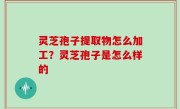 灵芝孢子提取物怎么加工？灵芝孢子是怎么样的