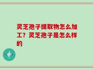 灵芝孢子提取物怎么加工？灵芝孢子是怎么样的