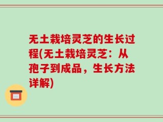 无土栽培灵芝的生长过程(无土栽培灵芝：从孢子到成品，生长方法详解)