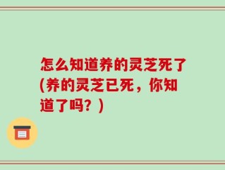 怎么知道养的灵芝死了(养的灵芝已死，你知道了吗？)