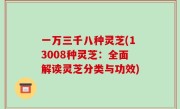 一万三千八种灵芝(13008种灵芝：全面解读灵芝分类与功效)