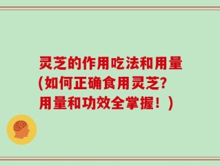 灵芝的作用吃法和用量(如何正确食用灵芝？用量和功效全掌握！)