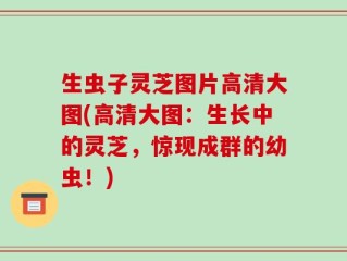 生虫子灵芝图片高清大图(高清大图：生长中的灵芝，惊现成群的幼虫！)