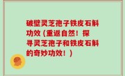 破壁灵芝孢子铁皮石斛功效 (重返自然！探寻灵芝孢子和铁皮石斛的奇妙功效！)