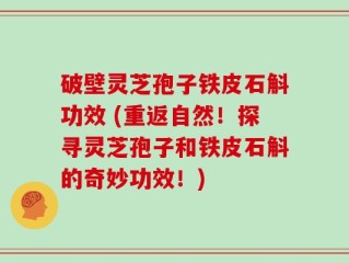 破壁灵芝孢子铁皮石斛功效 (重返自然！探寻灵芝孢子和铁皮石斛的奇妙功效！)