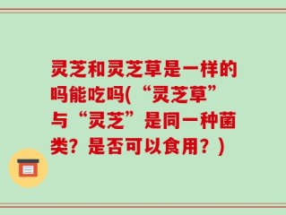 灵芝和灵芝草是一样的吗能吃吗(“灵芝草”与“灵芝”是同一种菌类？是否可以食用？)
