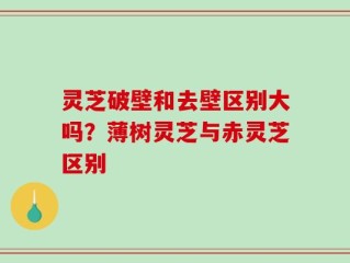 灵芝破壁和去壁区别大吗？薄树灵芝与赤灵芝区别