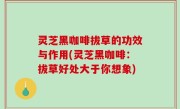 灵芝黑咖啡拔草的功效与作用(灵芝黑咖啡：拔草好处大于你想象)