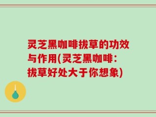 灵芝黑咖啡拔草的功效与作用(灵芝黑咖啡：拔草好处大于你想象)