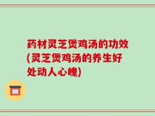 药材灵芝煲鸡汤的功效(灵芝煲鸡汤的养生好处动人心魄)