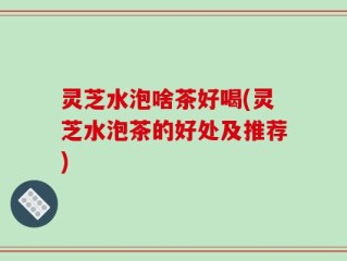 灵芝水泡啥茶好喝(灵芝水泡茶的好处及推荐)