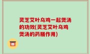 灵芝艾叶乌鸡一起煲汤的功效(灵芝艾叶乌鸡煲汤的药膳作用)