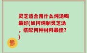 灵芝适合用什么炖汤喝最好(如何炖制灵芝汤，搭配何种材料最佳？)