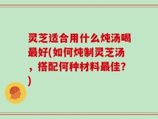 灵芝适合用什么炖汤喝最好(如何炖制灵芝汤，搭配何种材料最佳？)