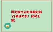 灵芝蟹什么时候最好抓了(最佳时机：捉灵芝蟹)