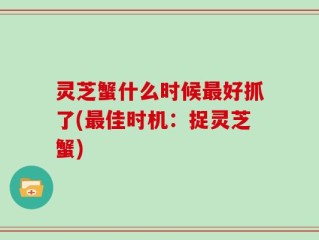 灵芝蟹什么时候最好抓了(最佳时机：捉灵芝蟹)