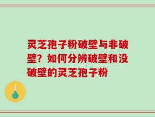 灵芝孢子粉破壁与非破壁？如何分辨破壁和没破壁的灵芝孢子粉