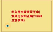 怎么用水壶煮灵芝水(煮灵芝水的正确方法和注意事项)