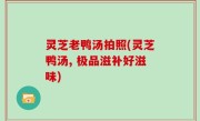 灵芝老鸭汤拍照(灵芝鸭汤, 极品滋补好滋味)