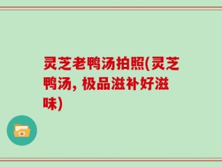 灵芝老鸭汤拍照(灵芝鸭汤, 极品滋补好滋味)