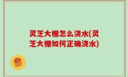 灵芝大棚怎么浇水(灵芝大棚如何正确浇水)