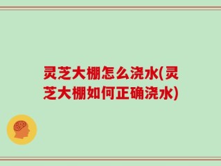灵芝大棚怎么浇水(灵芝大棚如何正确浇水)