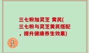 三七粉加灵芝 黄芪(三七粉与灵芝黄芪搭配，提升健康养生效果)