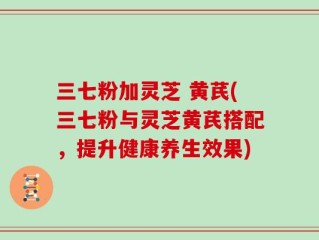 三七粉加灵芝 黄芪(三七粉与灵芝黄芪搭配，提升健康养生效果)