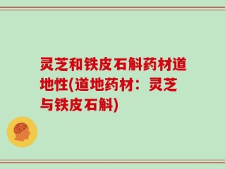 灵芝和铁皮石斛药材道地性(道地药材：灵芝与铁皮石斛)