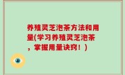 养殖灵芝泡茶方法和用量(学习养殖灵芝泡茶，掌握用量诀窍！)