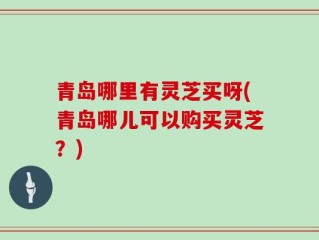 青岛哪里有灵芝买呀(青岛哪儿可以购买灵芝？)