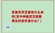 家里养灵芝都有什么条件(家中种植灵芝需要满足的条件是什么？)