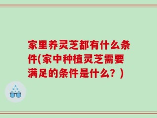 家里养灵芝都有什么条件(家中种植灵芝需要满足的条件是什么？)