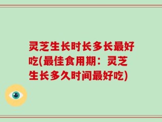 灵芝生长时长多长最好吃(最佳食用期：灵芝生长多久时间最好吃)