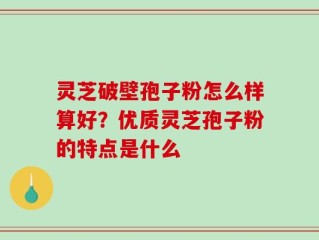 灵芝破壁孢子粉怎么样算好？优质灵芝孢子粉的特点是什么