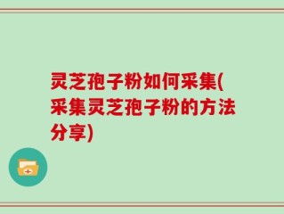 灵芝孢子粉如何采集(采集灵芝孢子粉的方法分享)