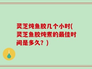 灵芝炖鱼胶几个小时(灵芝鱼胶炖煮的最佳时间是多久？)