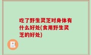 吃了野生灵芝对身体有什么好处(食用野生灵芝的好处)